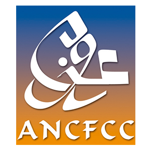 ANCFCC